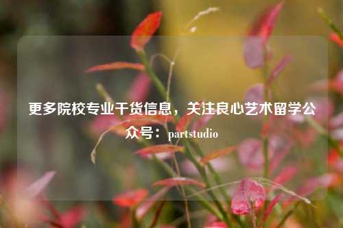 更多院校专业干货信息，关注良心艺术留学公众号：partstudio