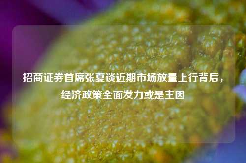 招商证券首席张夏谈近期市场放量上行背后，经济政策全面发力或是主因