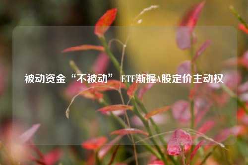 被动资金“不被动” ETF渐握A股定价主动权