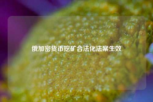 俄加密货币挖矿合法化法案生效