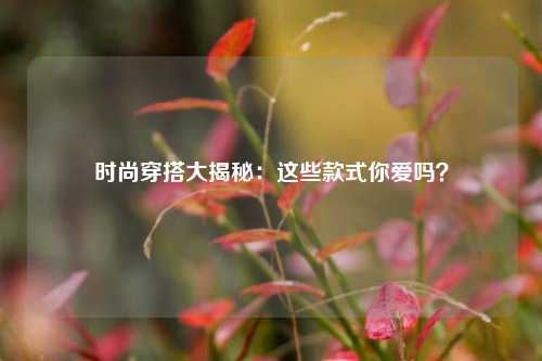 时尚穿搭大揭秘：这些款式你爱吗？