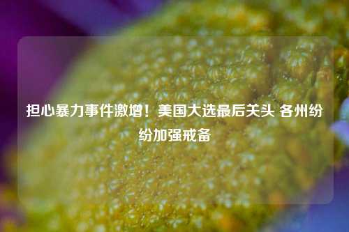 担心暴力事件激增！美国大选最后关头 各州纷纷加强戒备