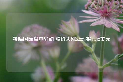 特海国际盘中异动 股价大涨5.22%报17.12美元