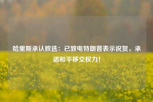 哈里斯承认败选：已致电特朗普表示祝贺，承诺和平移交权力！