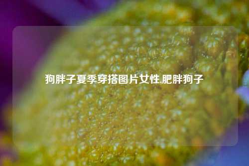 狗胖子夏季穿搭图片女性,肥胖狗子