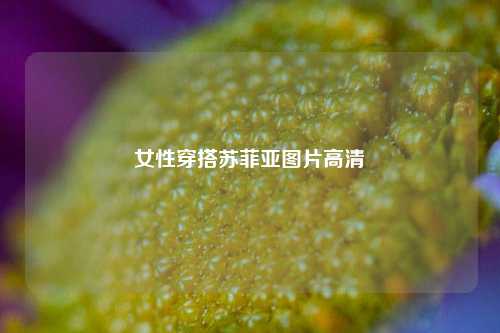 女性穿搭苏菲亚图片高清