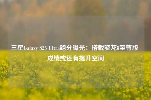 三星Galaxy S25 Ultra跑分曝光：搭载骁龙8至尊版 成绩或还有提升空间