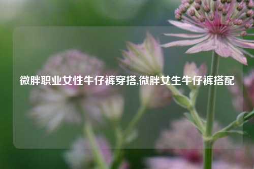 微胖职业女性牛仔裤穿搭,微胖女生牛仔裤搭配