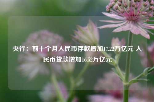 央行：前十个月人民币存款增加17.22万亿元 人民币贷款增加16.52万亿元