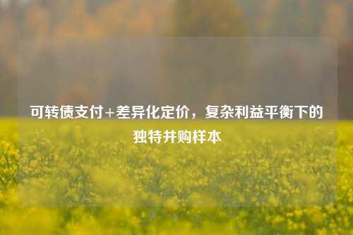 可转债支付+差异化定价，复杂利益平衡下的独特并购样本