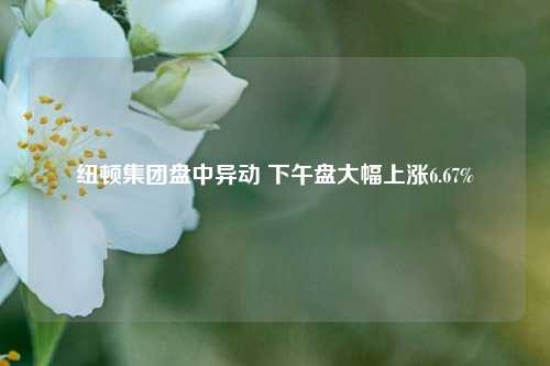 纽顿集团盘中异动 下午盘大幅上涨6.67%