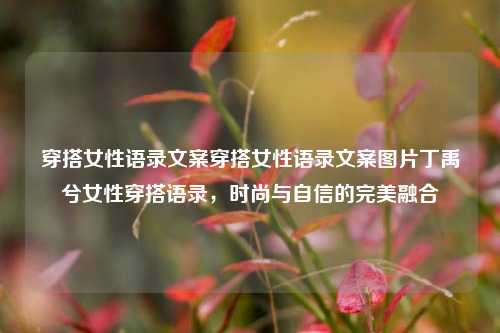 女性穿搭语录：时尚与自信的交融