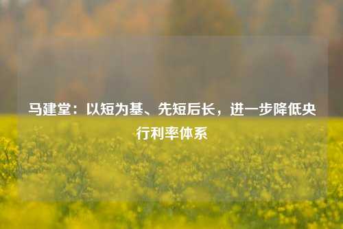 马建堂：以短为基、先短后长，进一步降低央行利率体系