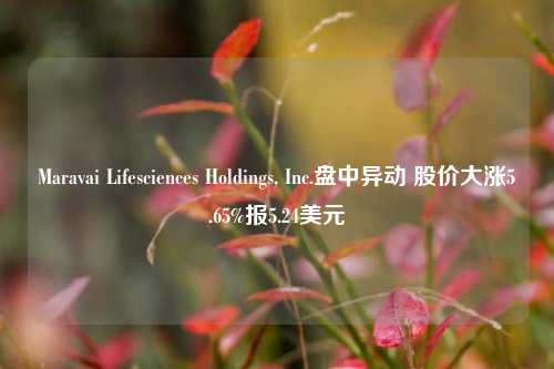 Maravai Lifesciences Holdings, Inc.盘中异动 股价大涨5.65%报5.24美元