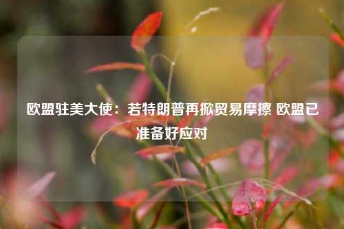 欧盟驻美大使：若特朗普再掀贸易摩擦 欧盟已准备好应对