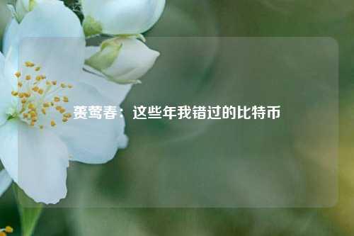 蒉莺春：这些年我错过的比特币