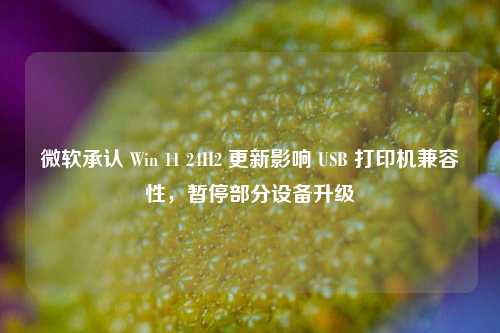 微软承认 Win 11 24H2 更新影响 USB 打印机兼容性，暂停部分设备升级