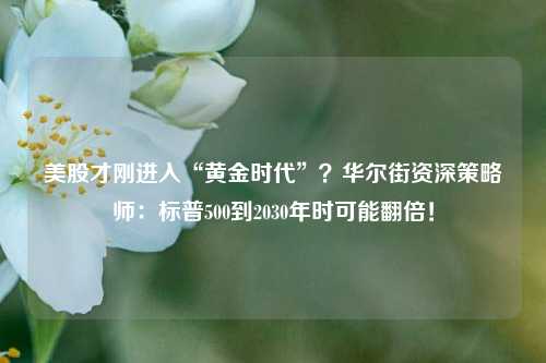 美股才刚进入“黄金时代”？华尔街资深策略师：标普500到2030年时可能翻倍！