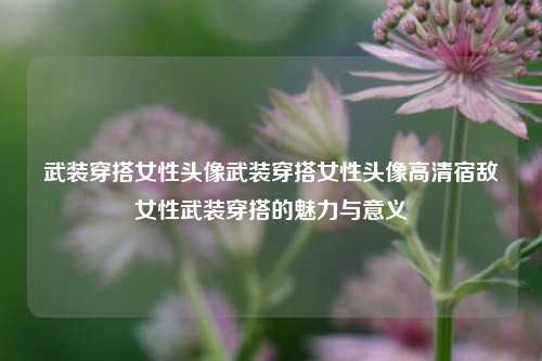 女性武装穿搭头像及意义