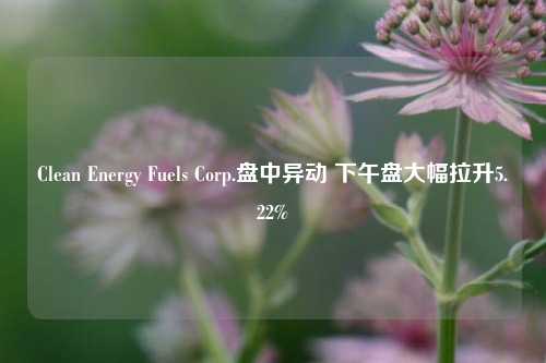 Clean Energy Fuels Corp.盘中异动 下午盘大幅拉升5.22%