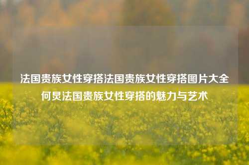 法国贵族女性穿搭法国贵族女性穿搭图片大全何炅法国贵族女性穿搭的魅力与艺术