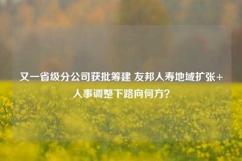 又一省级分公司获批筹建 友邦人寿地域扩张+人事调整下路向何方？