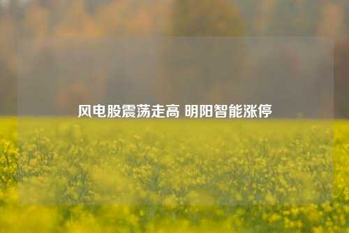 风电股震荡走高 明阳智能涨停