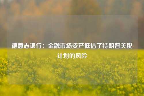 德意志银行：金融市场资产低估了特朗普关税计划的风险