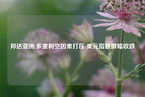 邦达亚洲:多重利空因素打压 美元指数微幅收跌