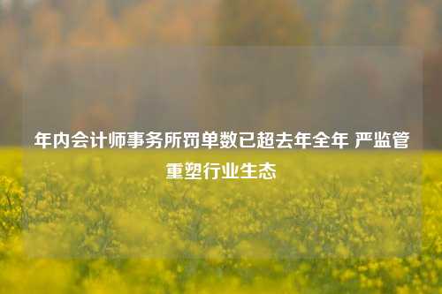 年内会计师事务所罚单数已超去年全年 严监管重塑行业生态