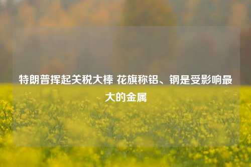 特朗普挥起关税大棒 花旗称铝、钢是受影响最大的金属