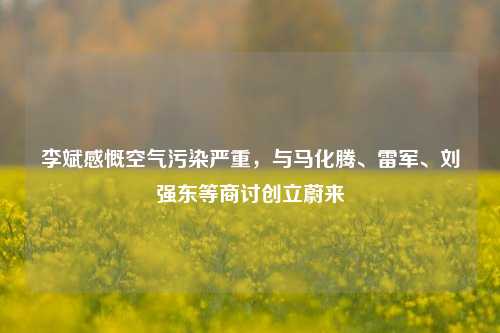 李斌感慨空气污染严重，与马化腾、雷军、刘强东等商讨创立蔚来