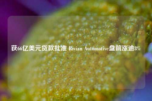 获66亿美元贷款批准 Rivian Automotive盘前涨逾8%