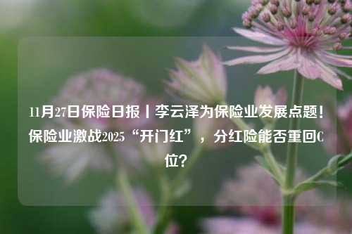 11月27日保险日报丨李云泽为保险业发展点题！保险业激战2025“开门红”，分红险能否重回C位？