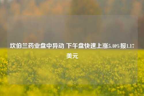 坎伯兰药业盘中异动 下午盘快速上涨5.40%报1.17美元