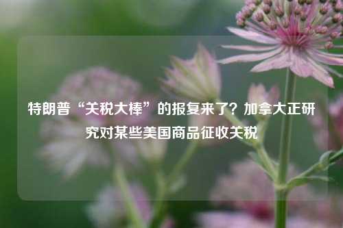 特朗普“关税大棒”的报复来了？加拿大正研究对某些美国商品征收关税