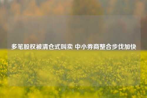 多笔股权被清仓式叫卖 中小券商整合步伐加快