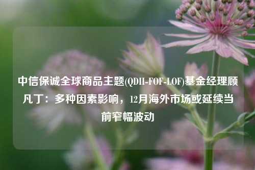 中信保诚全球商品主题(QDII-FOF-LOF)基金经理顾凡丁：多种因素影响，12月海外市场或延续当前窄幅波动