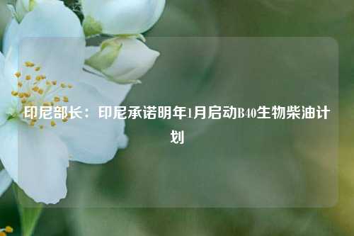 印尼部长：印尼承诺明年1月启动B40生物柴油计划