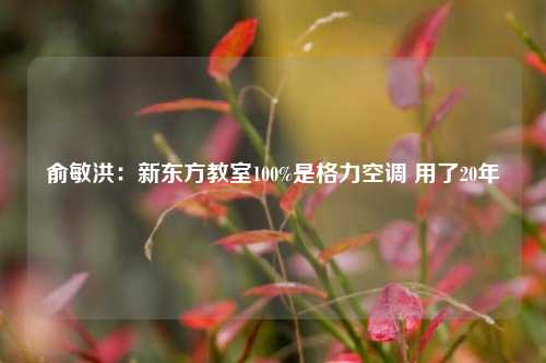 俞敏洪：新东方教室100%是格力空调 用了20年