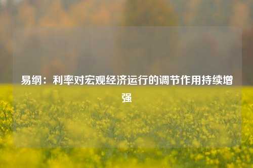 易纲：利率对宏观经济运行的调节作用持续增强