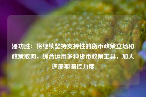 潘功胜：将继续坚持支持性的货币政策立场和政策取向，综合运用多种货币政策工具，加大逆周期调控力度