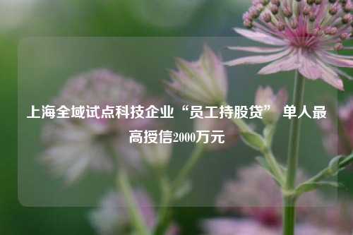 上海全域试点科技企业“员工持股贷” 单人最高授信2000万元