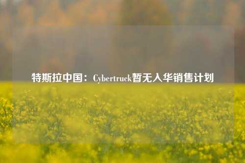 特斯拉中国：Cybertruck暂无入华销售计划