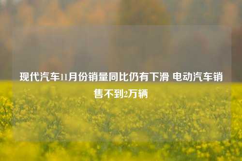 现代汽车11月份销量同比仍有下滑 电动汽车销售不到2万辆