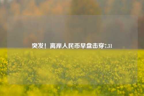 突发！离岸人民币早盘击穿7.31