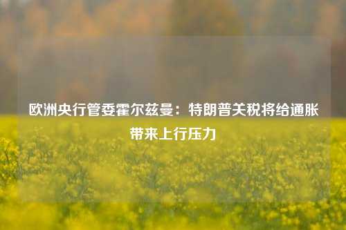 欧洲央行管委霍尔兹曼：特朗普关税将给通胀带来上行压力