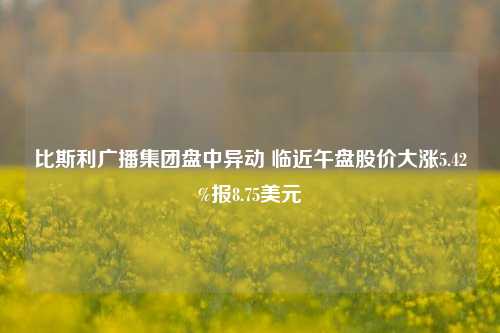 比斯利广播集团盘中异动 临近午盘股价大涨5.42%报8.75美元