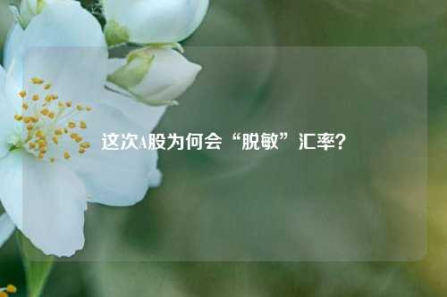 这次A股为何会“脱敏”汇率？