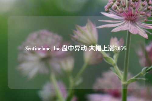 Sentinelone, Inc.盘中异动 大幅上涨5.05%